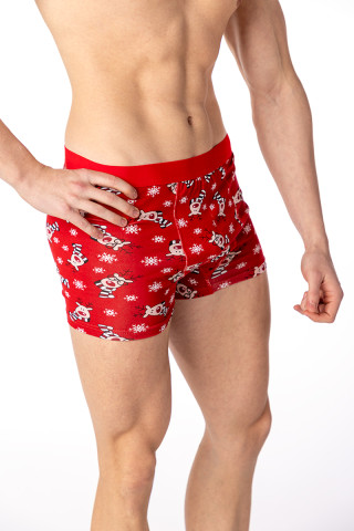 SF машки боксерки 25 NY 1 