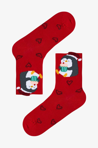 Penti детски класични чорапи G.PENGUIN 2 PACK SKT 