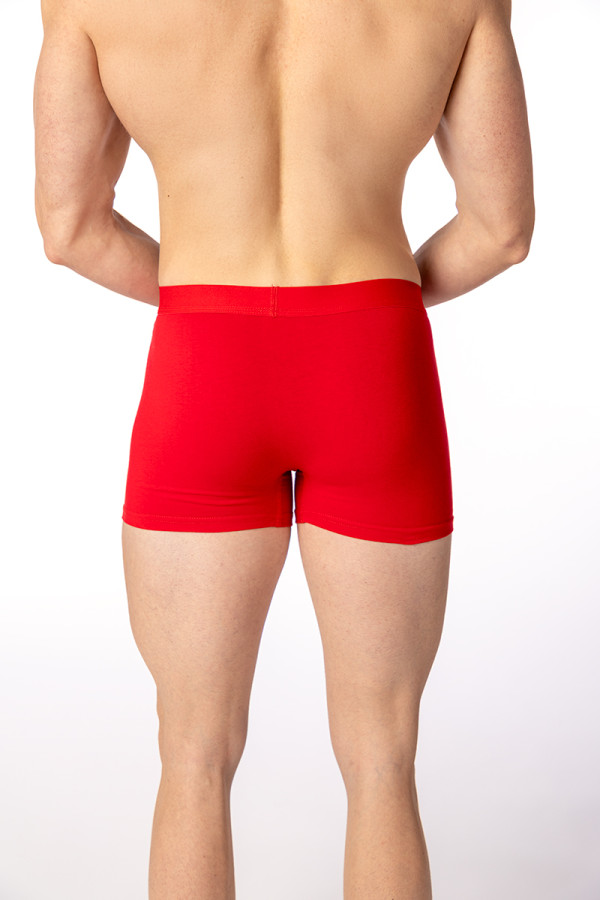 SF машки боксерки 25 NY 2 